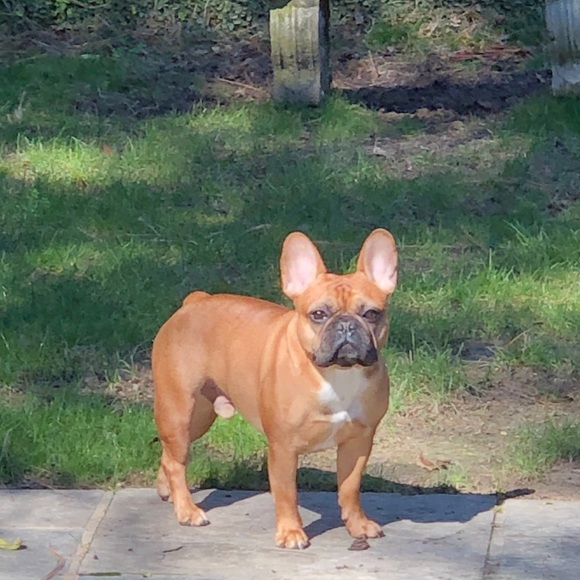 Meet your Posher, Lauren - Picture 6 of 10